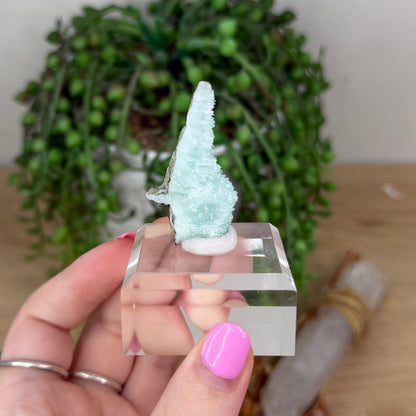 Blue Aragonite Specimen On Stand (X889)