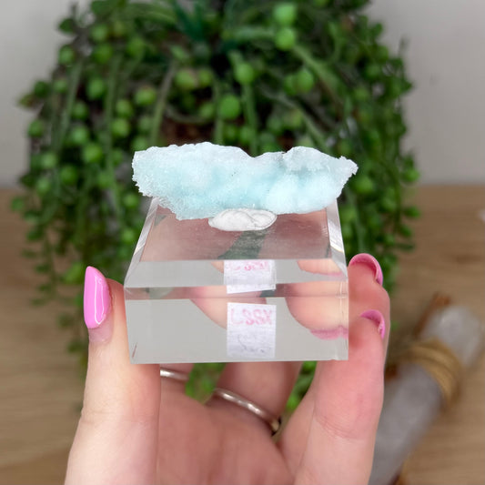 Blue Aragonite Specimen On Stand (X887)