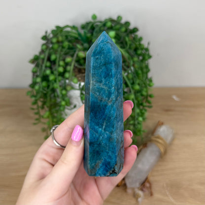 Blue Apatite Point (X892)