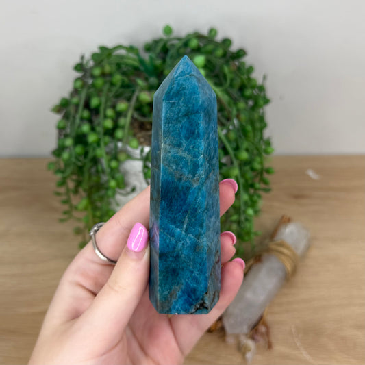 Blue Apatite Point (X892)