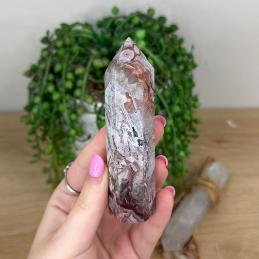 Mexican Crazy Lace Agate Point (X858)