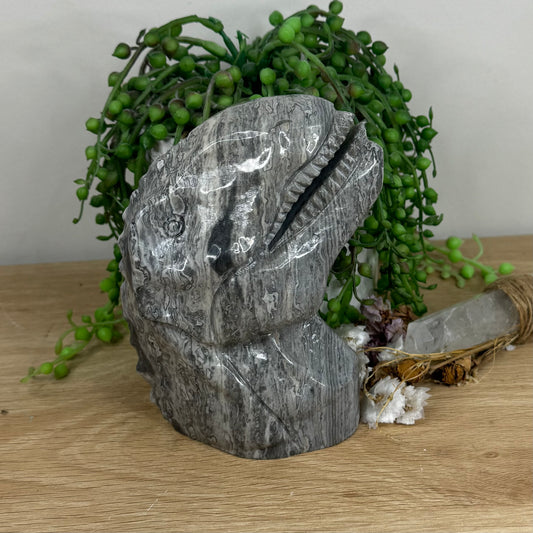 Picasso Jasper Dinosaur Head (N759)