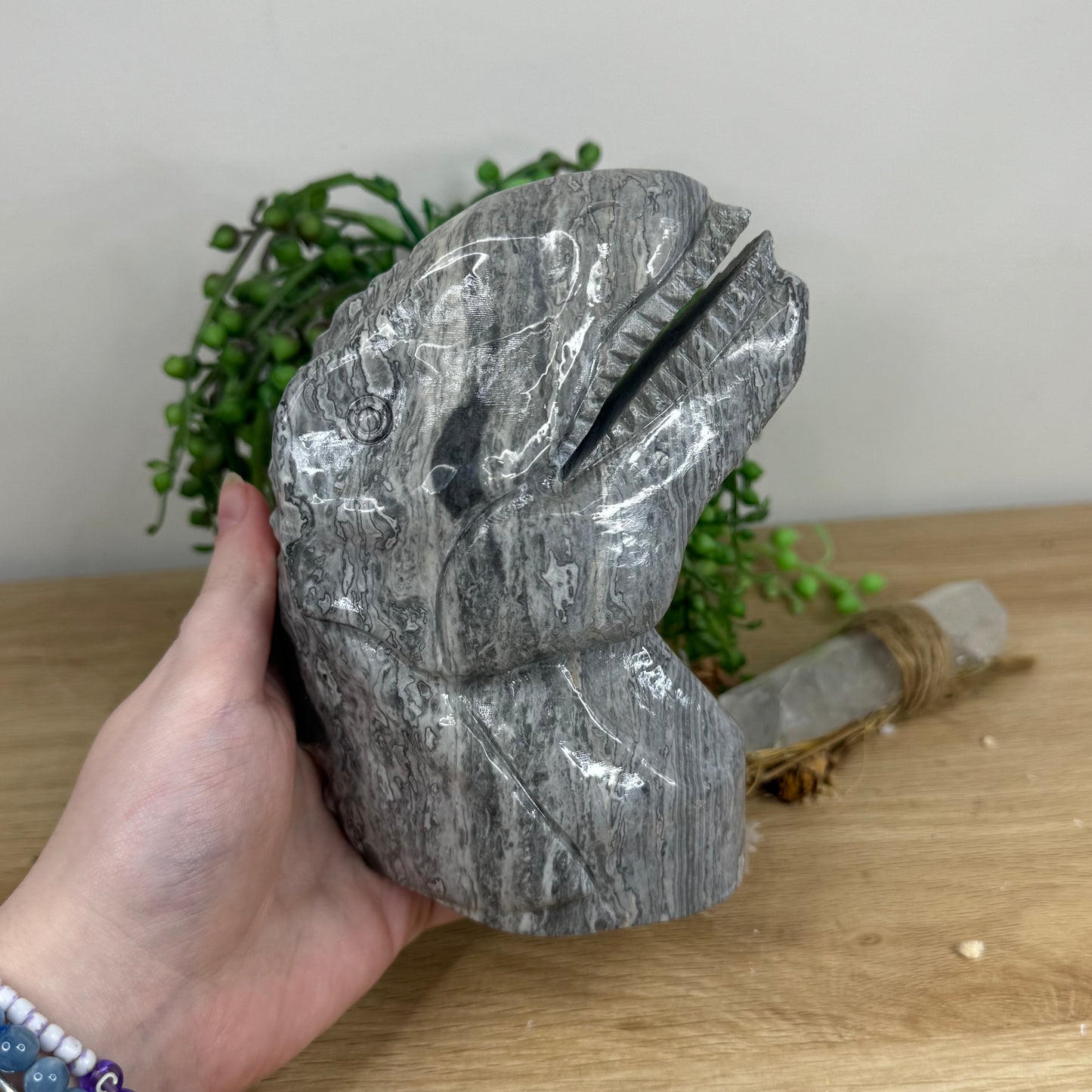 Picasso Jasper Dinosaur Head (N759)