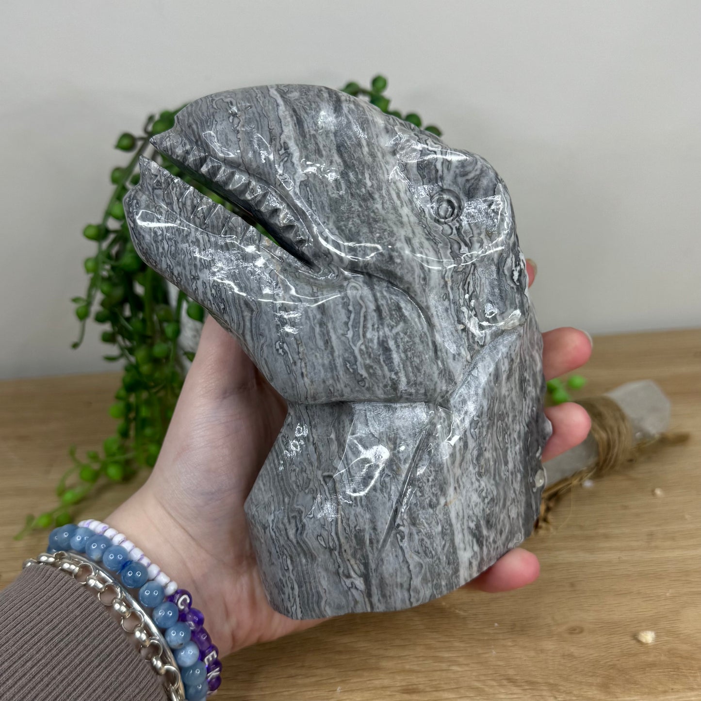 Picasso Jasper Dinosaur Head (N759)