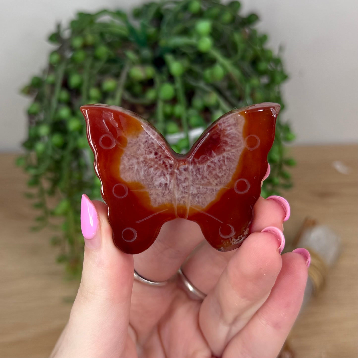 Carnelian Butterfly (X863)