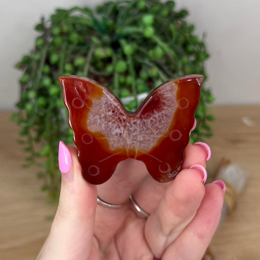 Carnelian Butterfly (X863)