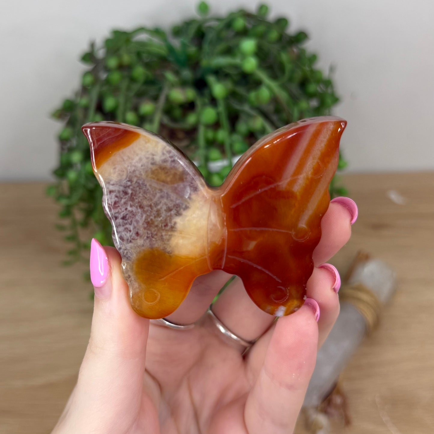 Carnelian Butterfly (X864)