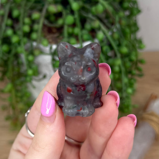 African Bloodstone Cat (X868)