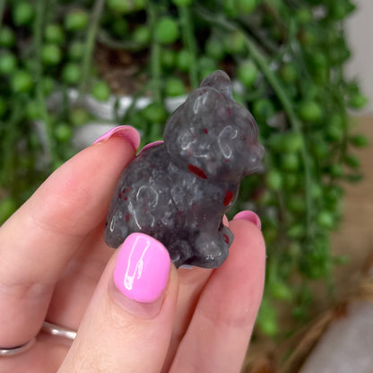 African Bloodstone Cat (X868)