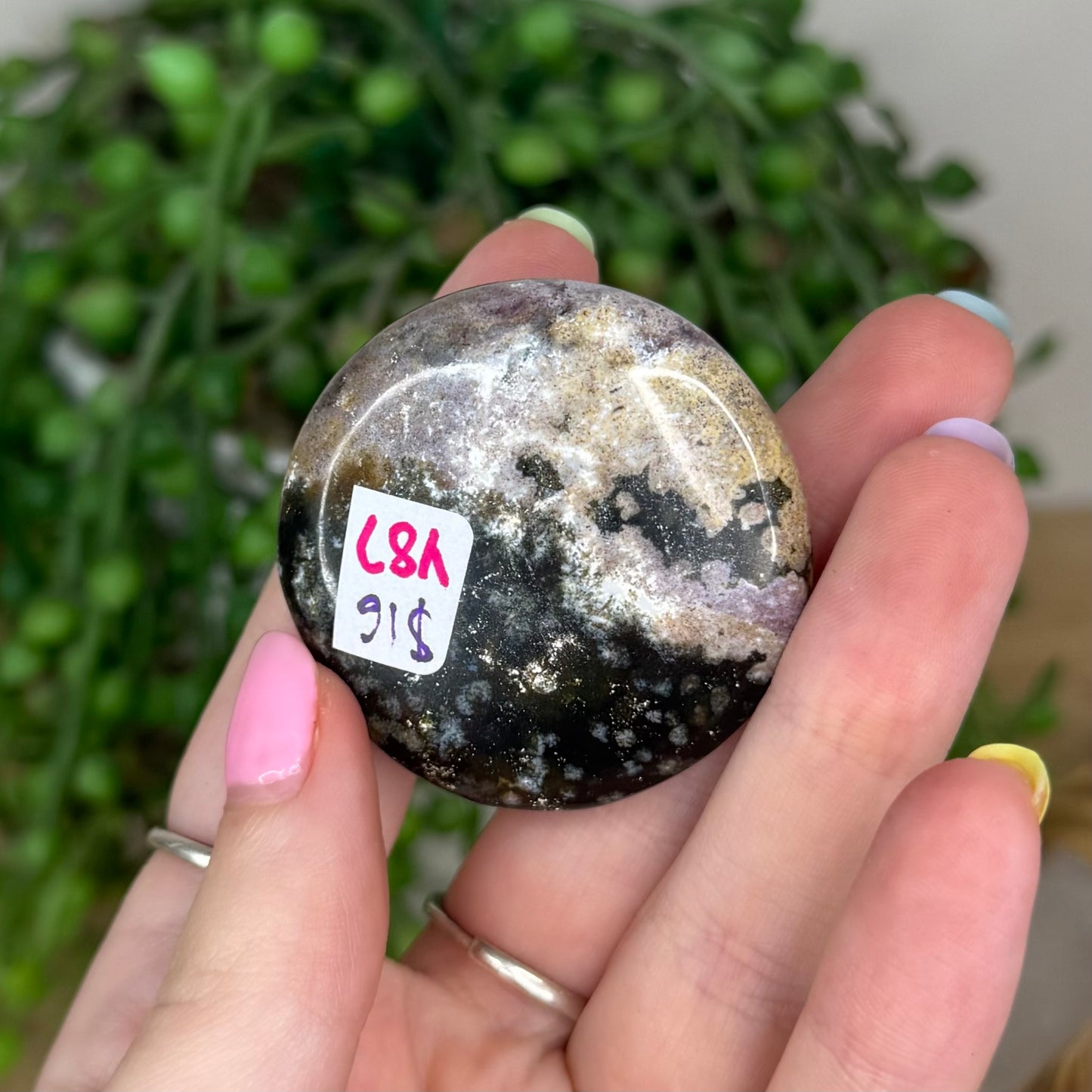 Unicorn Jasper Flat Stone (Y87)