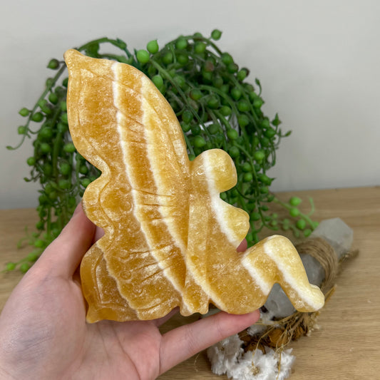 Yellow Calcite Pixie (N850)