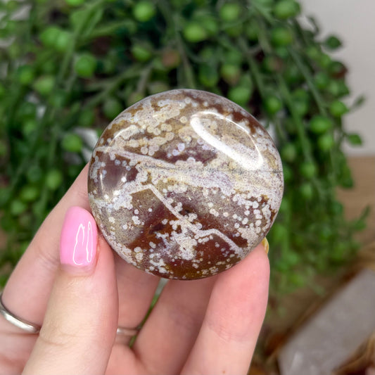 Unicorn Jasper Flat Stone (Y94)