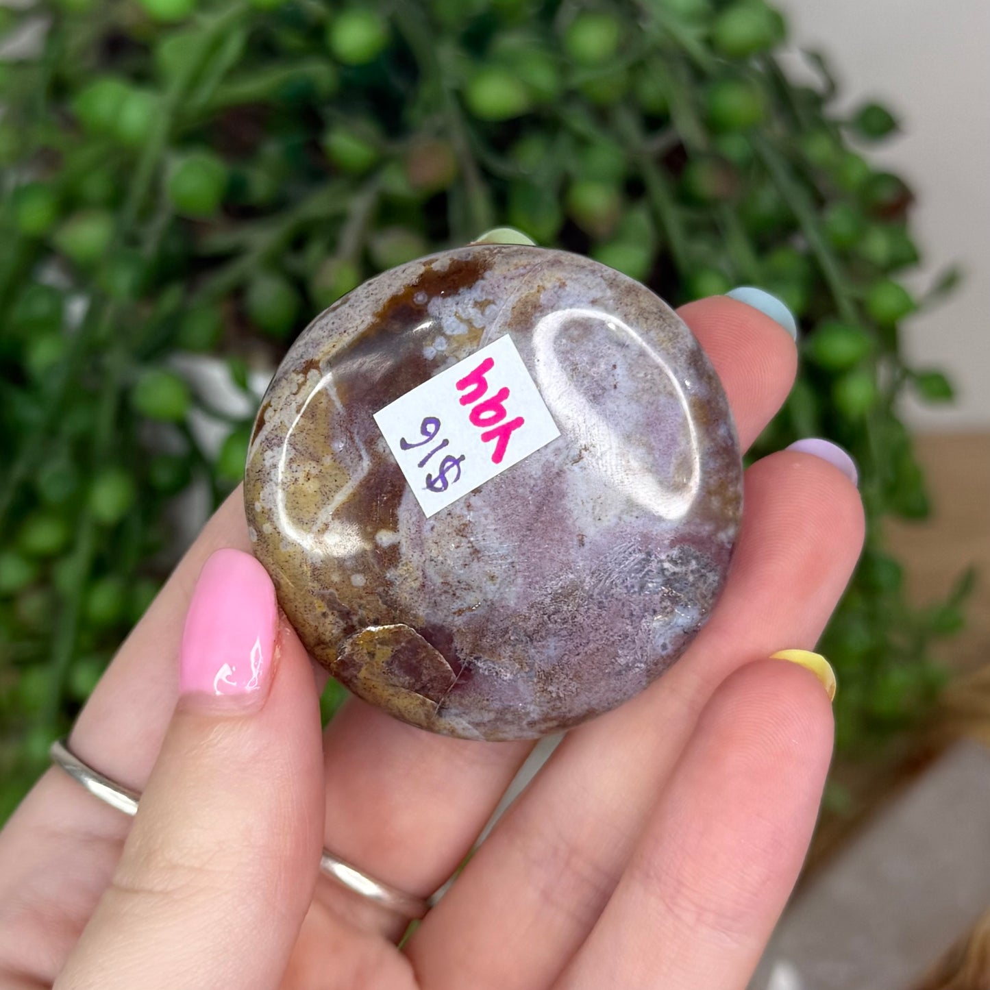 Unicorn Jasper Flat Stone (Y94)