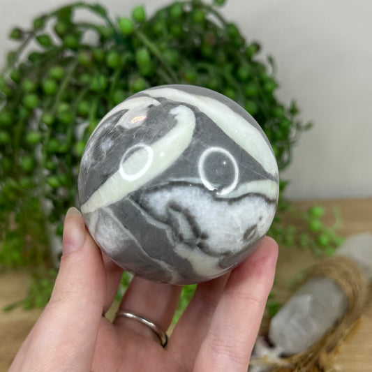 Shell Jasper Sphere (N806)