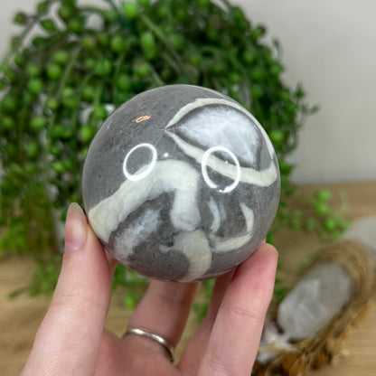 Shell Jasper Sphere (N804)