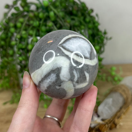 Shell Jasper Sphere (N804)