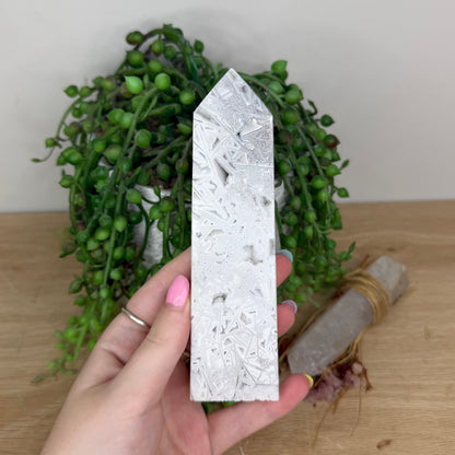 Brazil Druzy Agatę Tower (Y53)