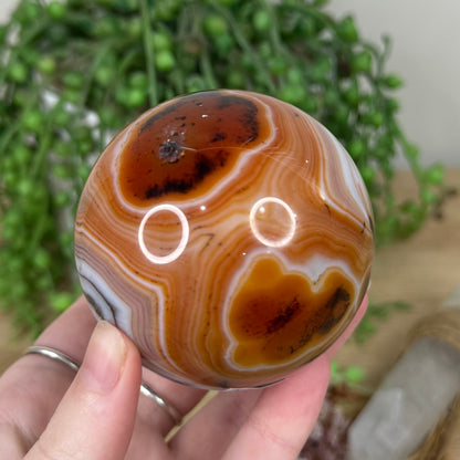 Sardonyx Sphere (S144)