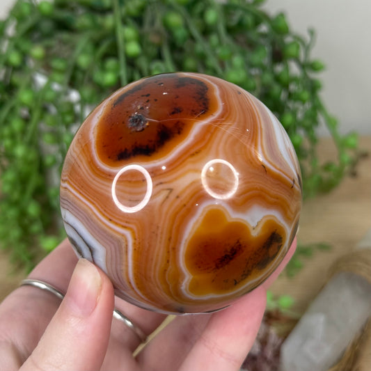 Sardonyx Sphere (S144)