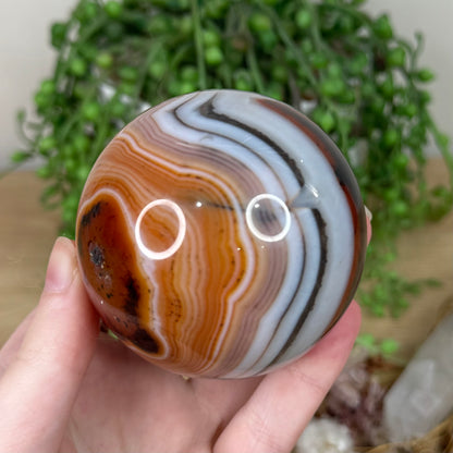 Sardonyx Sphere (S144)