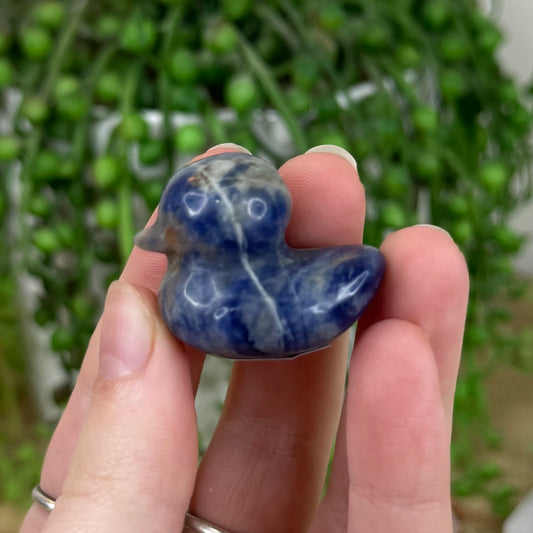 Sodalite Duck (L175)