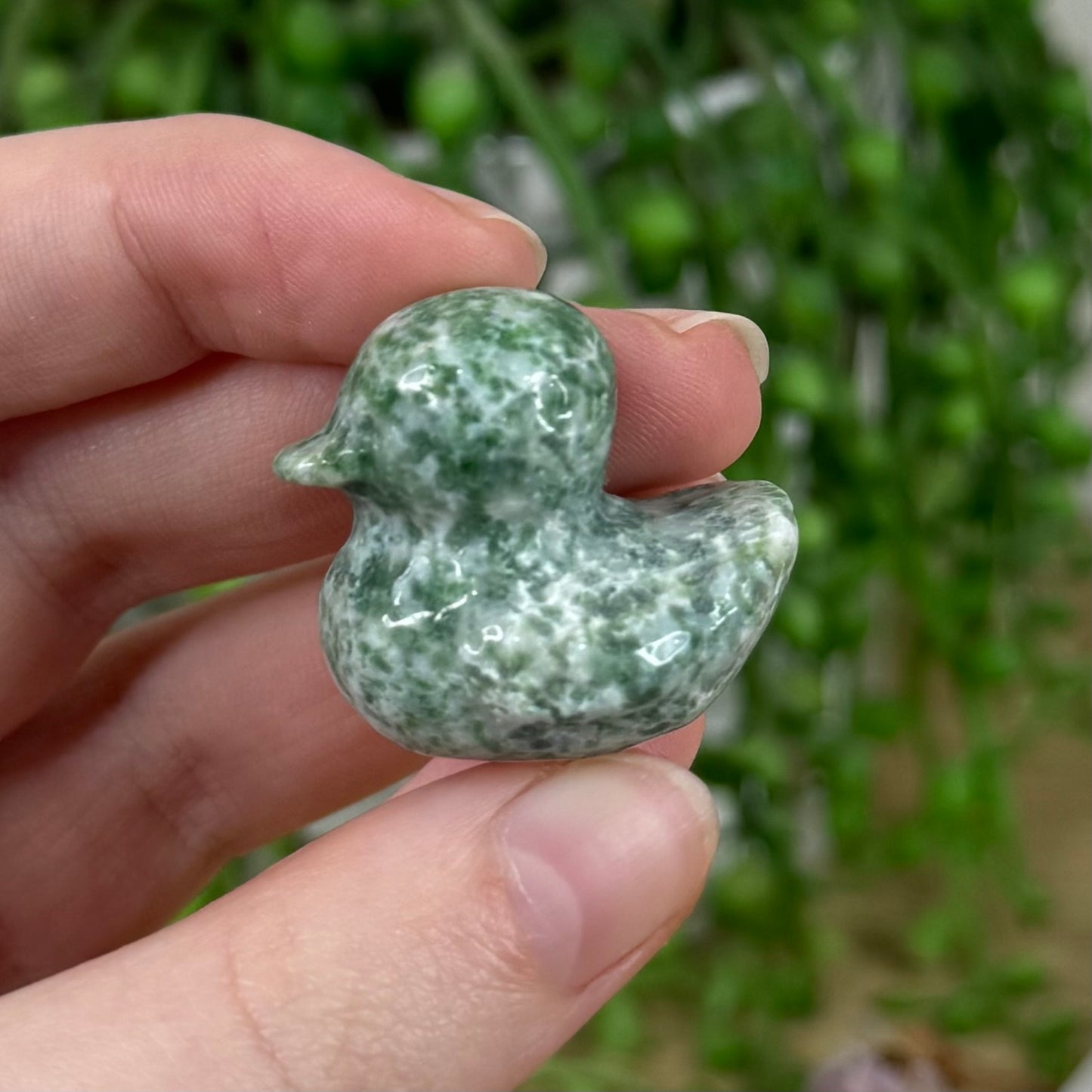 Green Spot Jasper Duck (E814)