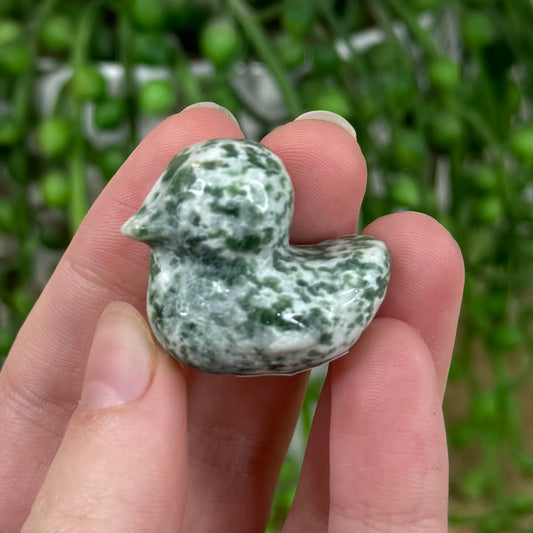 Green Spot Jasper Duck (E816)