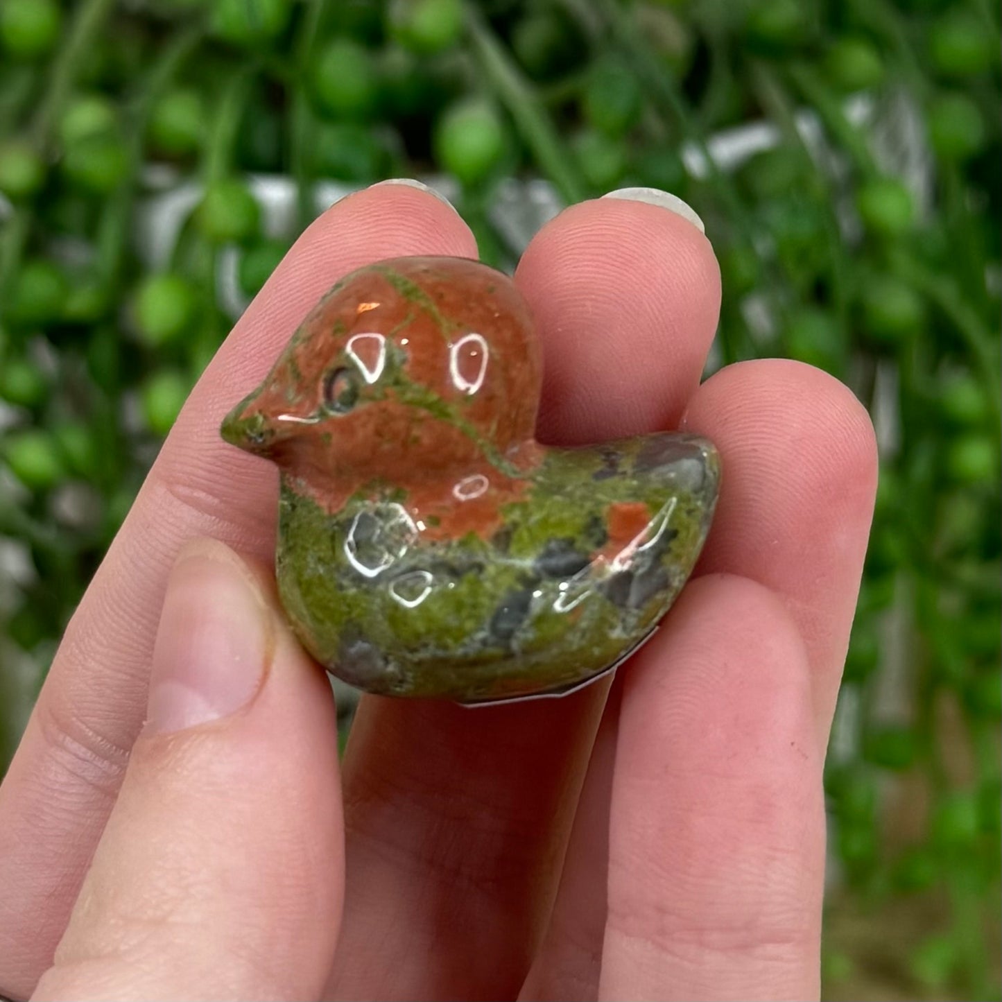 Unakite Duck (E822) (E820) (E821)