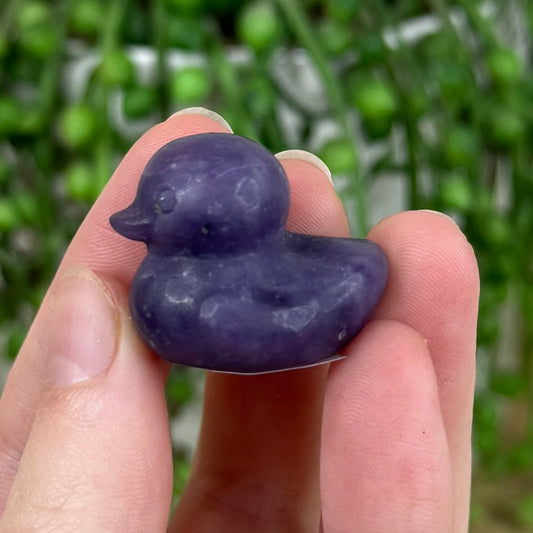 Lepidolite Duck (J329) (J328)
