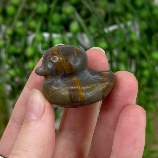 Polychrome Jasper Duck (C501)