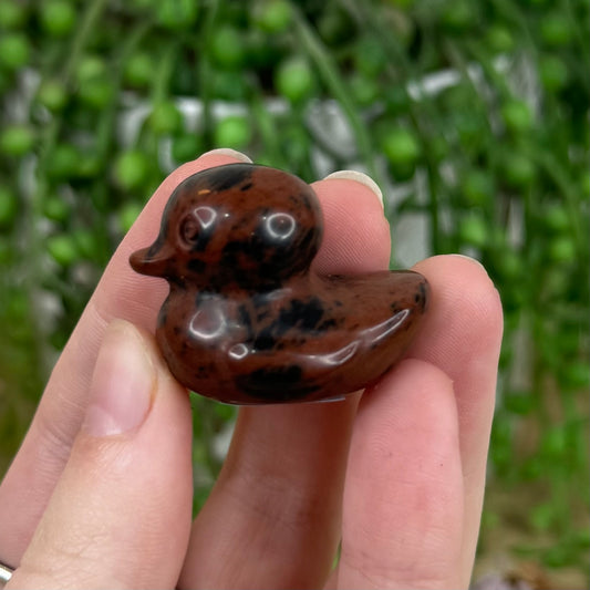 Mahogany Obsidian Duck (L174)
