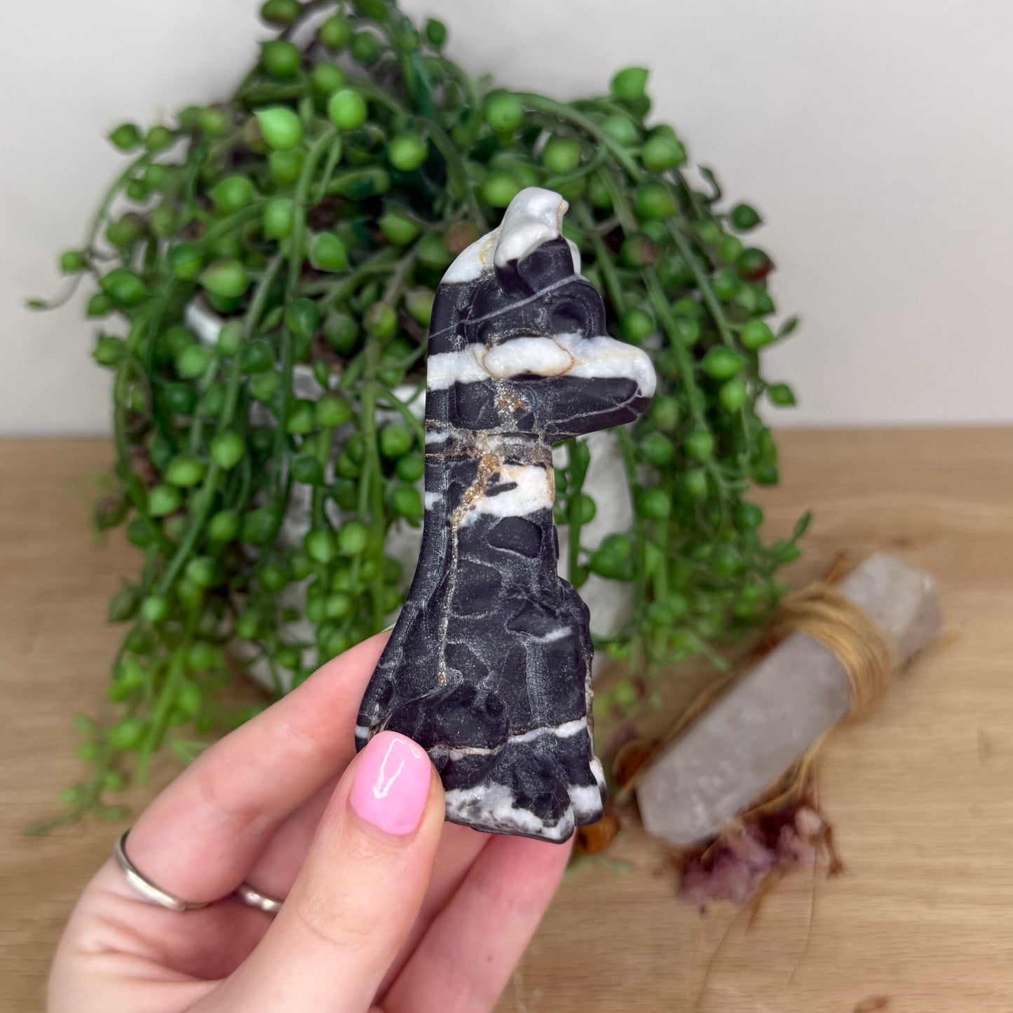 Black Zebra Jasper Giraffe (T185)