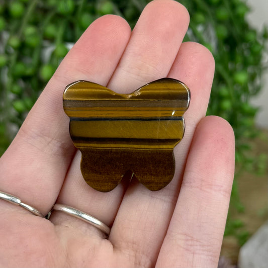 Tiger Eye Small Butterfly