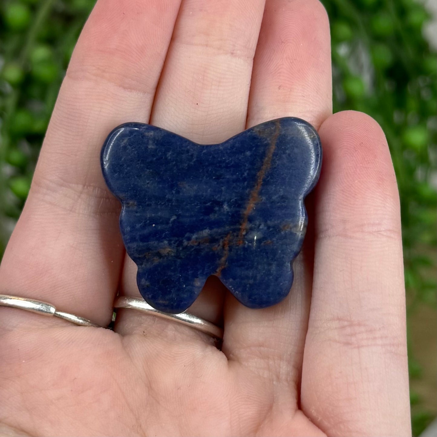 Sodalite Small Butterfly