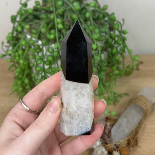 Black Agate Point (R950)