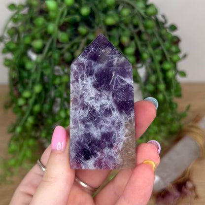 Unicorn Stone Point (X934)