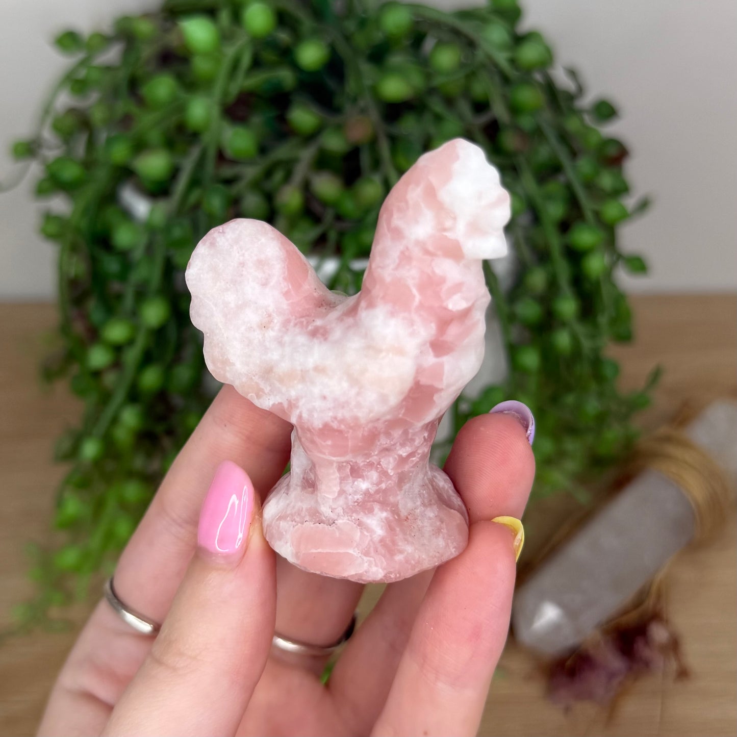 Pink Opal Rooster (X908)