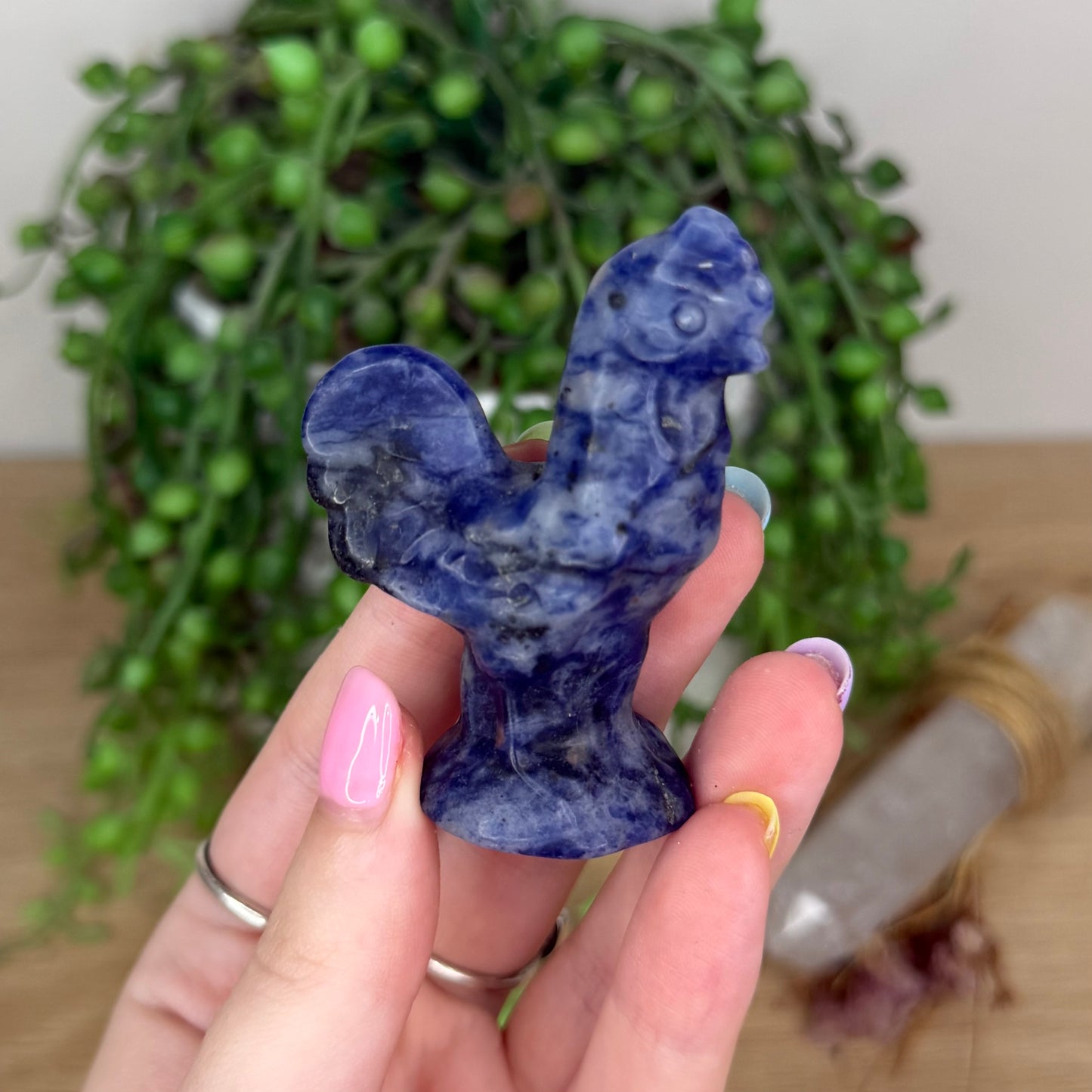 Sodalite Rooster (X913)