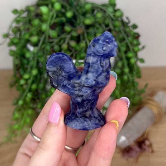 Sodalite Rooster (X913)