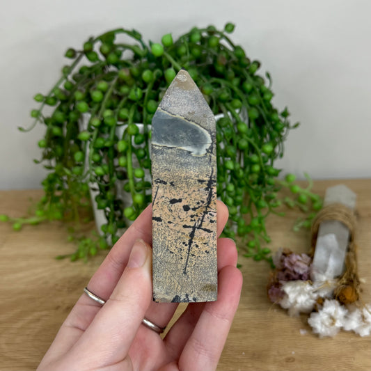 Picture Stone Jasper Point (O13)