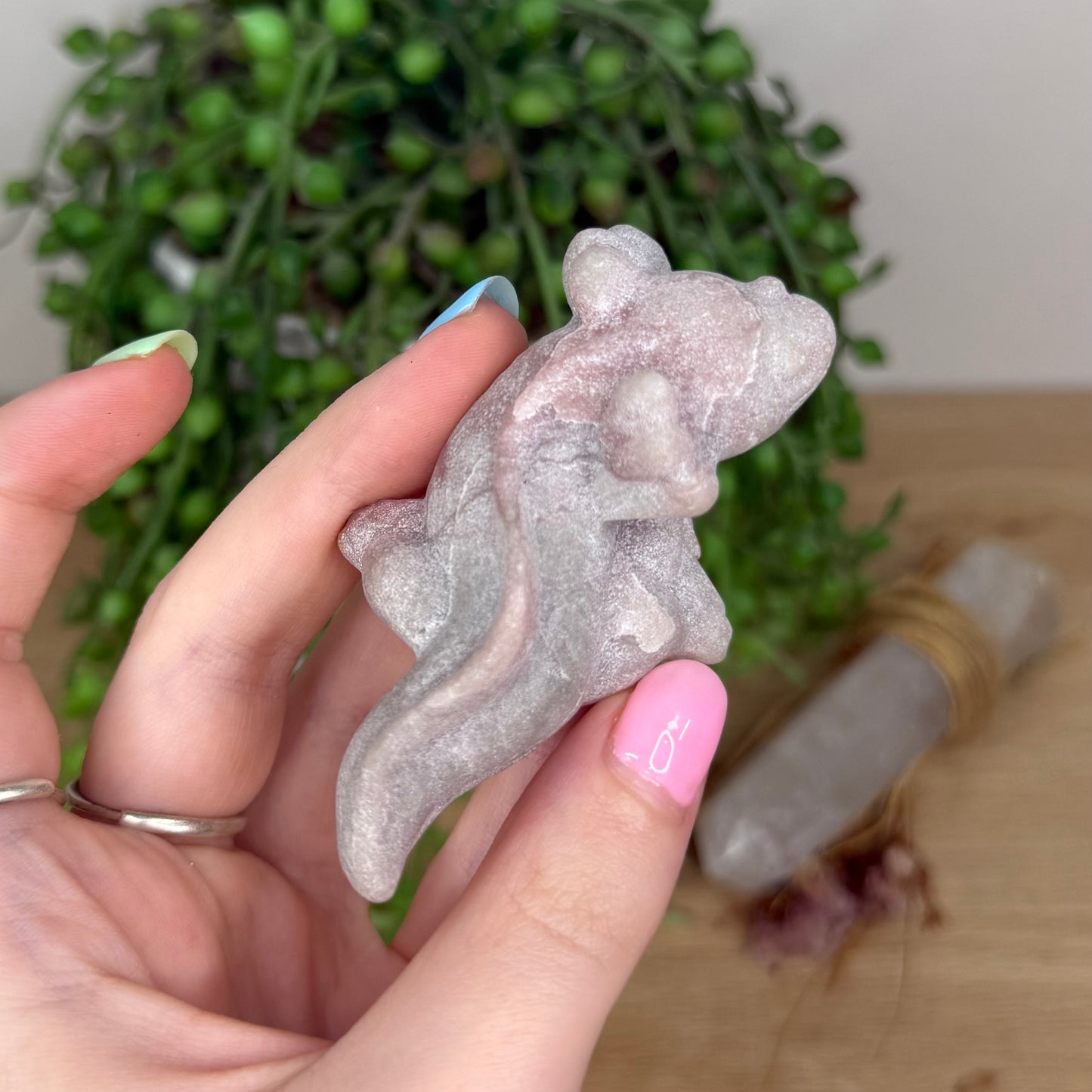 Pink Opal Axolotl (X913)