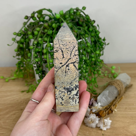 Picture Stone Jasper Point (O15)