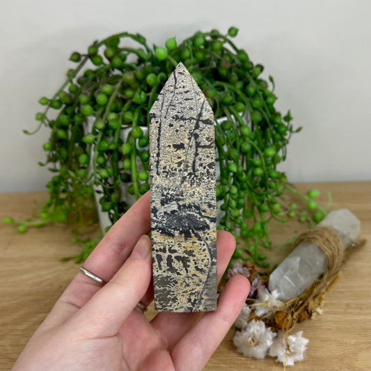 Picture Stone Jasper Point (O14)