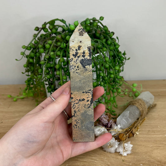 Picture Stone Jasper Point (O19)
