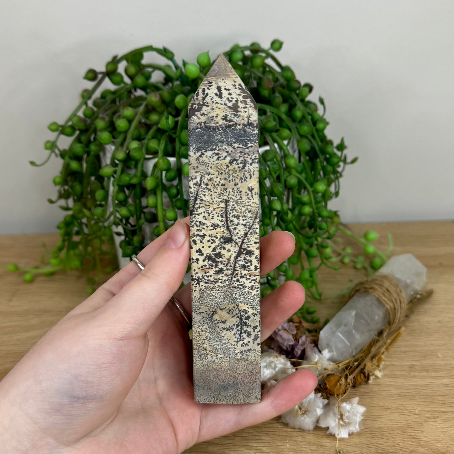 Picture Stone Jasper Point (O20)