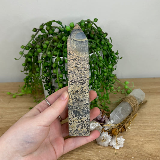 Picture Stone Jasper Point (O22)