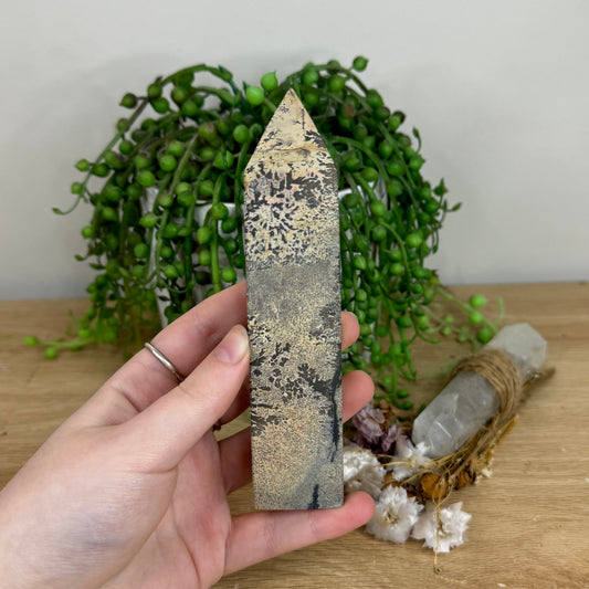 Picture Stone Jasper Point (O23)