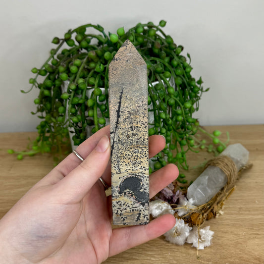 Picture Stone Jasper Point (O16)