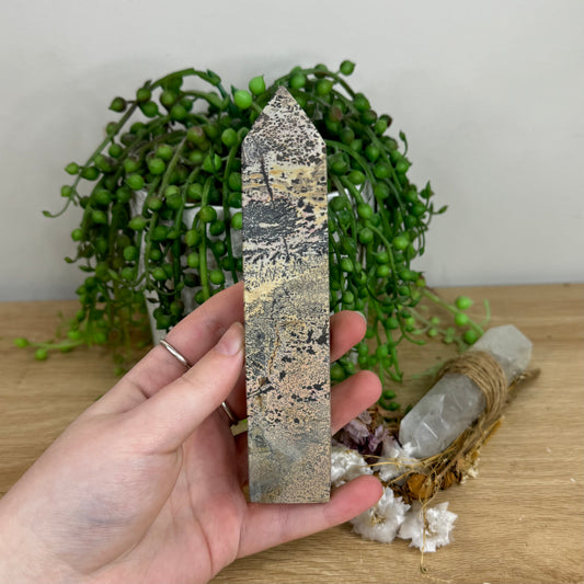 Picture Stone Jasper Point (O18)