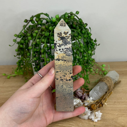 Picture Stone Jasper Point (O17)